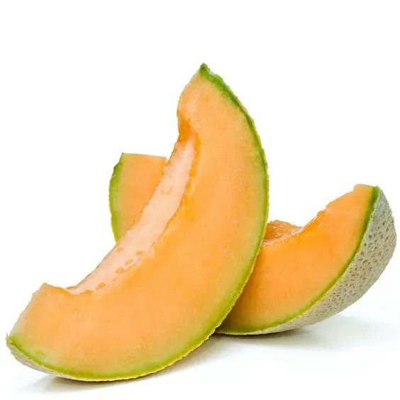 Fresh Cantaloupe -  Top Choice Fresh Viet Nam Cantaloupe Rich Nutritious Tropical Fruits for Wholesale