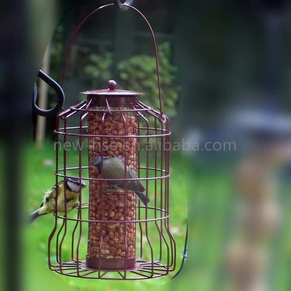 3Pcs Heavy Duty Hanging Birds Feeder Squirrel-proof Caged Dome Suet Tube Nut Seed & Fat Ball Feeders