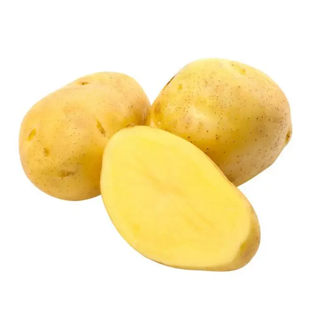 2021 High Quality in Bulk Potato with International Certification