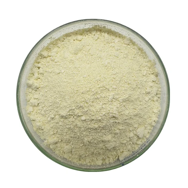 Wholesale Price Bulk Food Grade Food Enzymes Powder Xylanase Enzyme