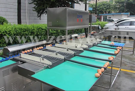 large electronic egg grading sorting machine