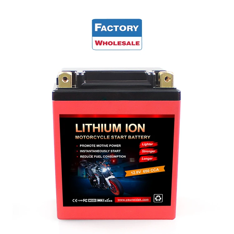 LFP20L-BS 12V 48V Rechargeable motorcycle starting Harley, KTM, Yamaha lithium iron battery lifepo4 battery 20AH