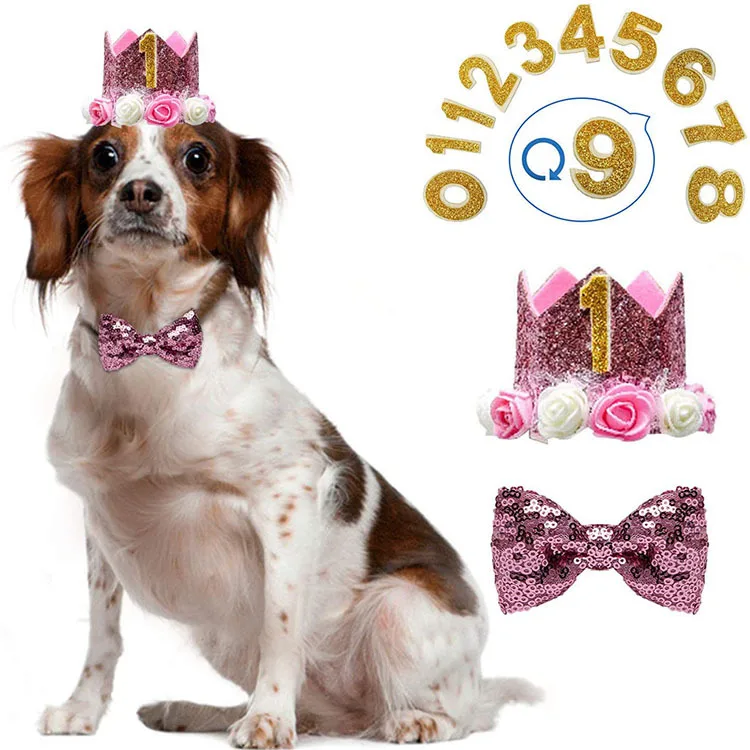 Hot Dog Cat Birthday Hat Pet Birthday Party Hat With Cute Bow Tie For Small Medium Puppies Cats Dogs Wedding Collar Outfit