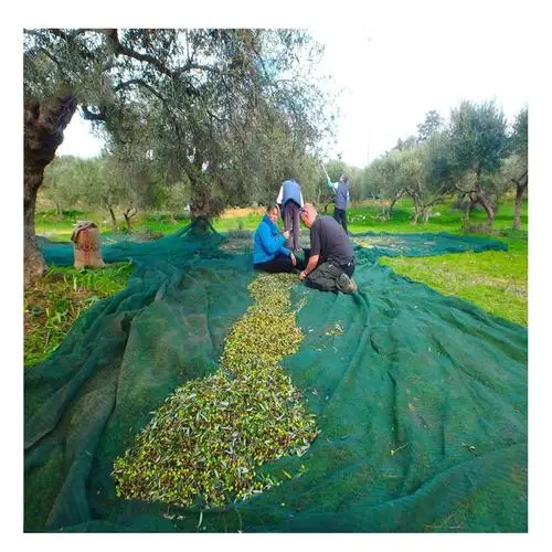 China high quality agricultural olive net Harvest olive net collection olive net