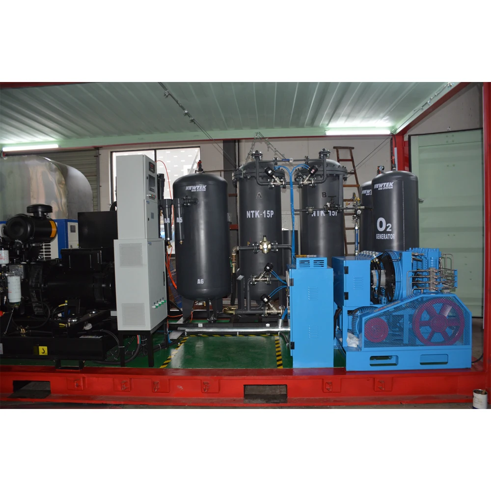 NEWTEK Container Medical Oxygen Generator Portable Oxygen Generation System High Purity