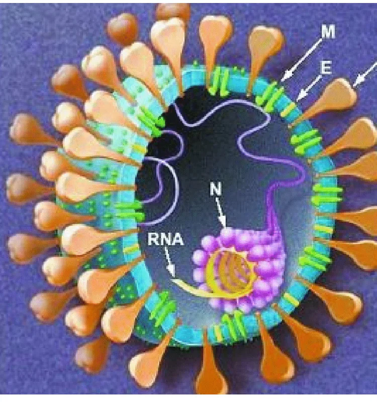 
uv light sterilizer portable food baby milk bottle uvc light sterilizer 