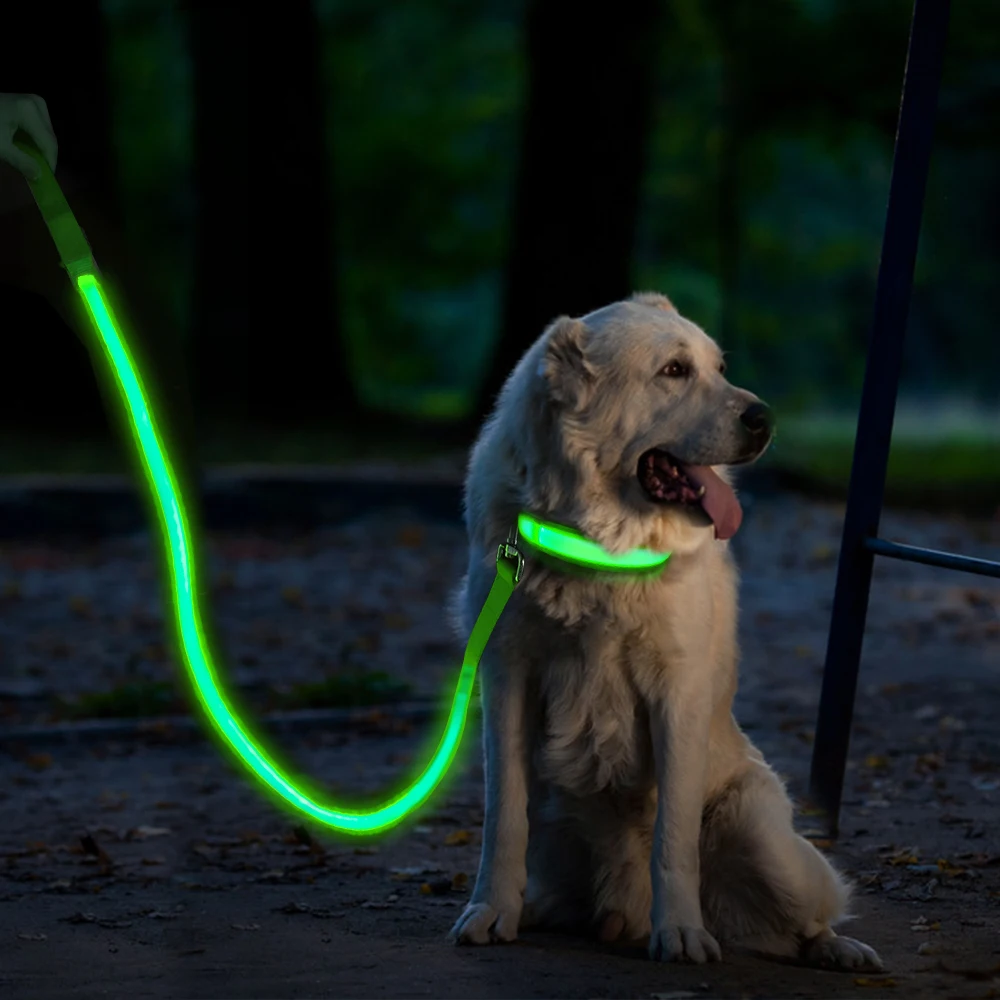 Wholesale Price Dog Accessories Light Up Dog Leash Led Illuminating Led Dog Nylon Pet Rechargeable Led Leash