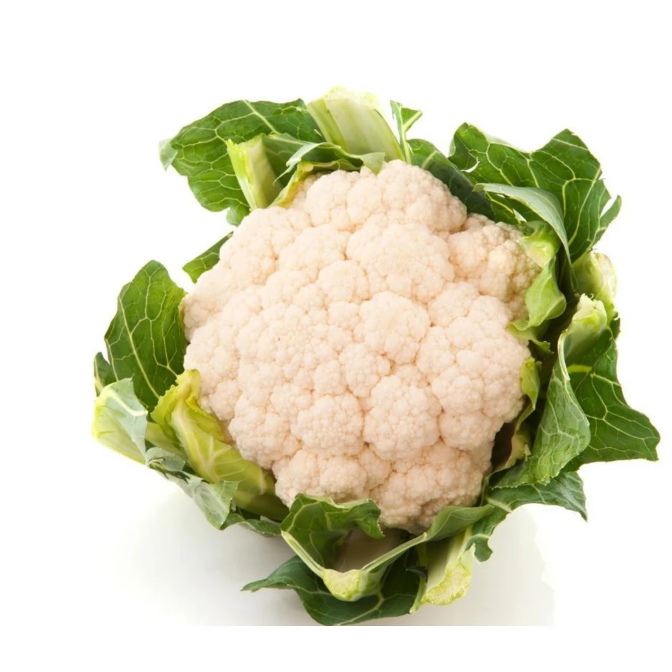 International Market Price High Quality Fresh Cauliflower