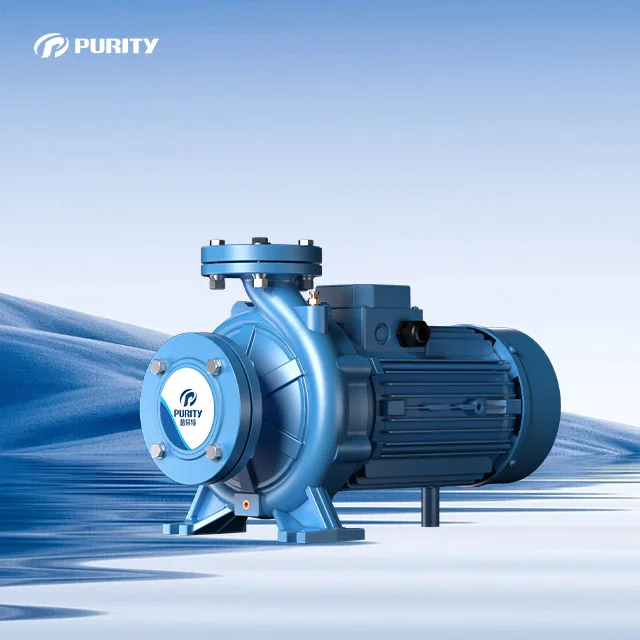Standard PST 80-250/370 Centrifugal Electric Pump from PURITY