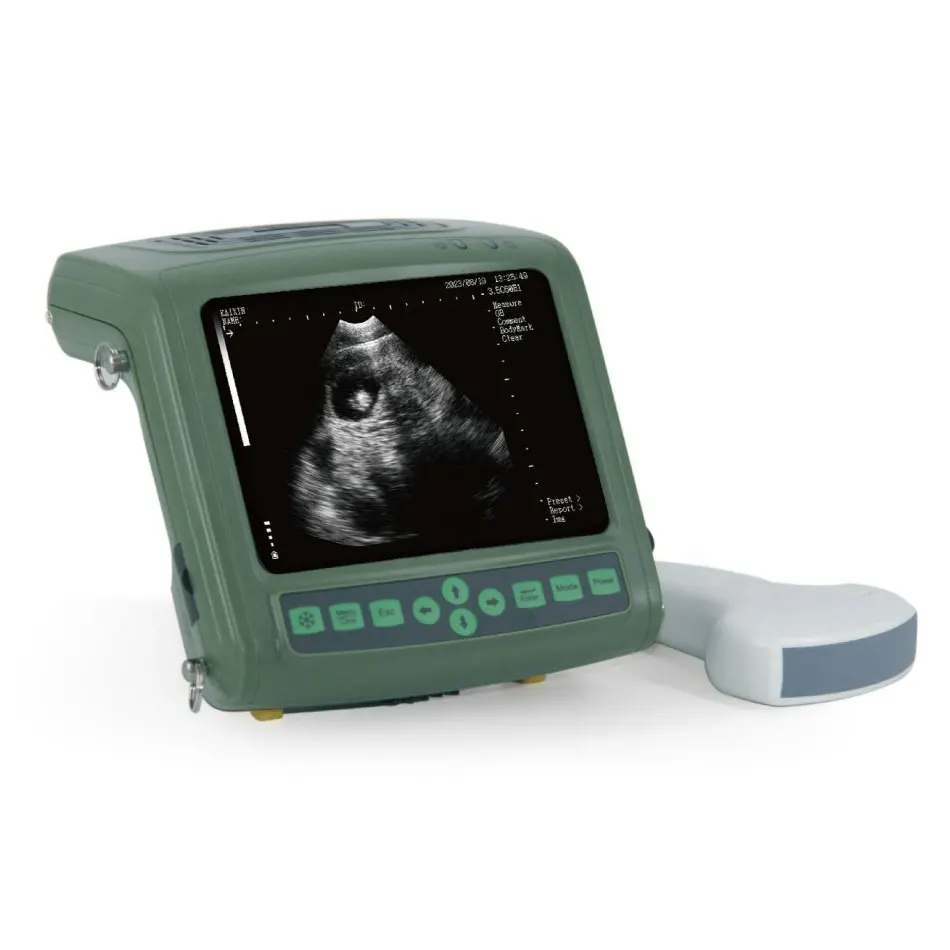 Handheld cheap portable veterinary instrument ultrasound probe pig pregnancy ultrasound scanner