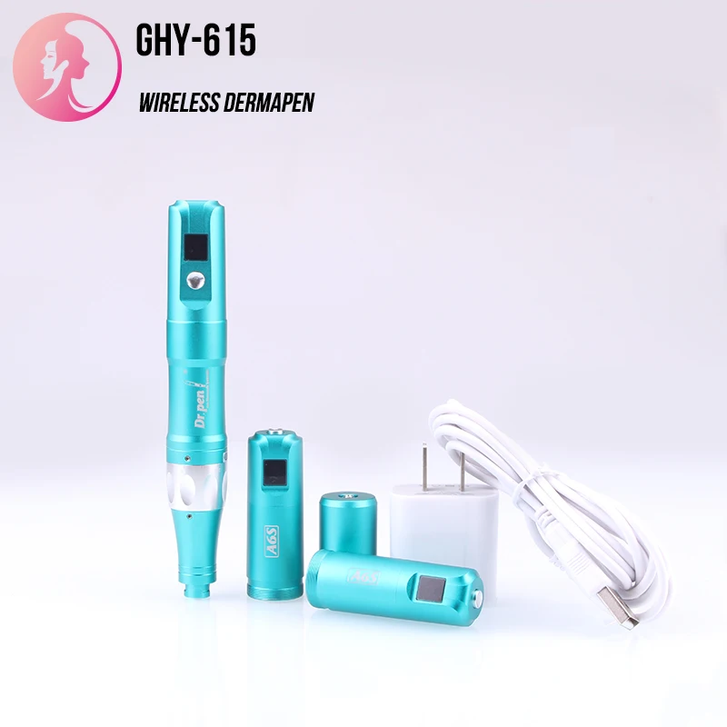 Customization Dermapen A6s with replacement battery Microneedle Therapy System Derma Pen with Display