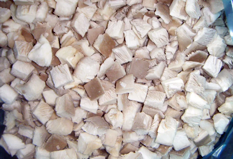 supply BRC certified IQF frozen oyster mushroom dice good quality hot sale