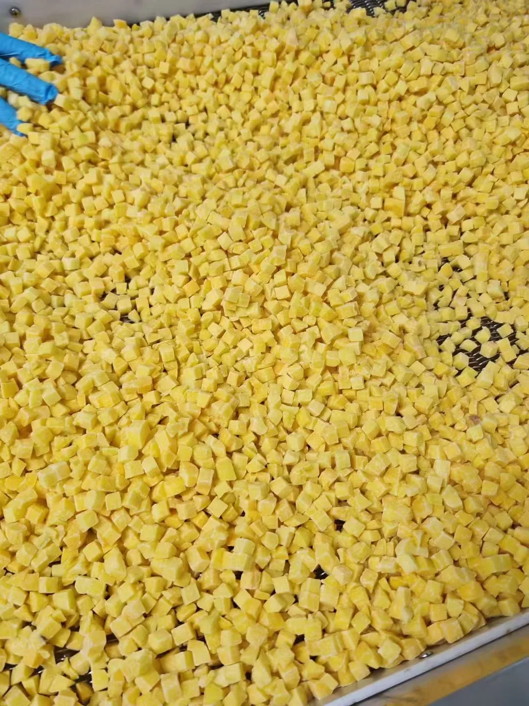 Factory Direct Sweet Delicious Durian-Type Fruit  Whole Water Bulk Packaged Cubes Frozen Yellow Peach Dices