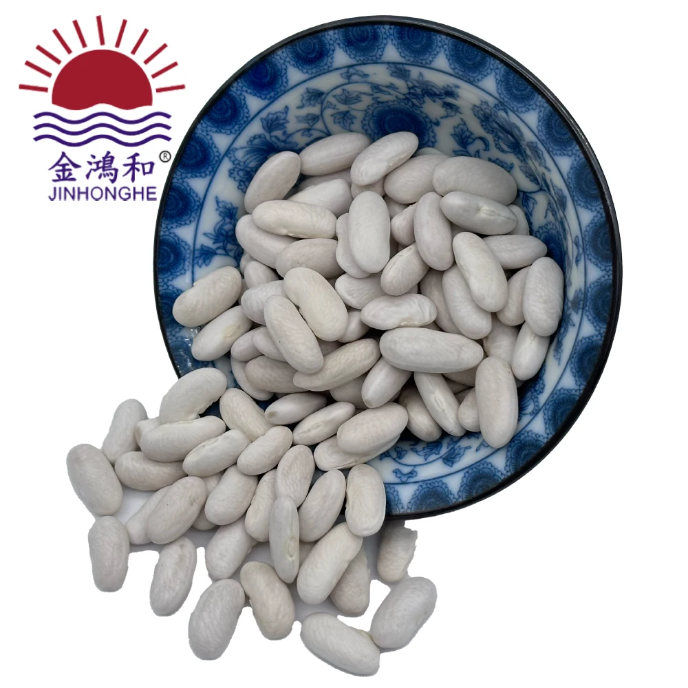 Navy white  agia maruba kidney bean
