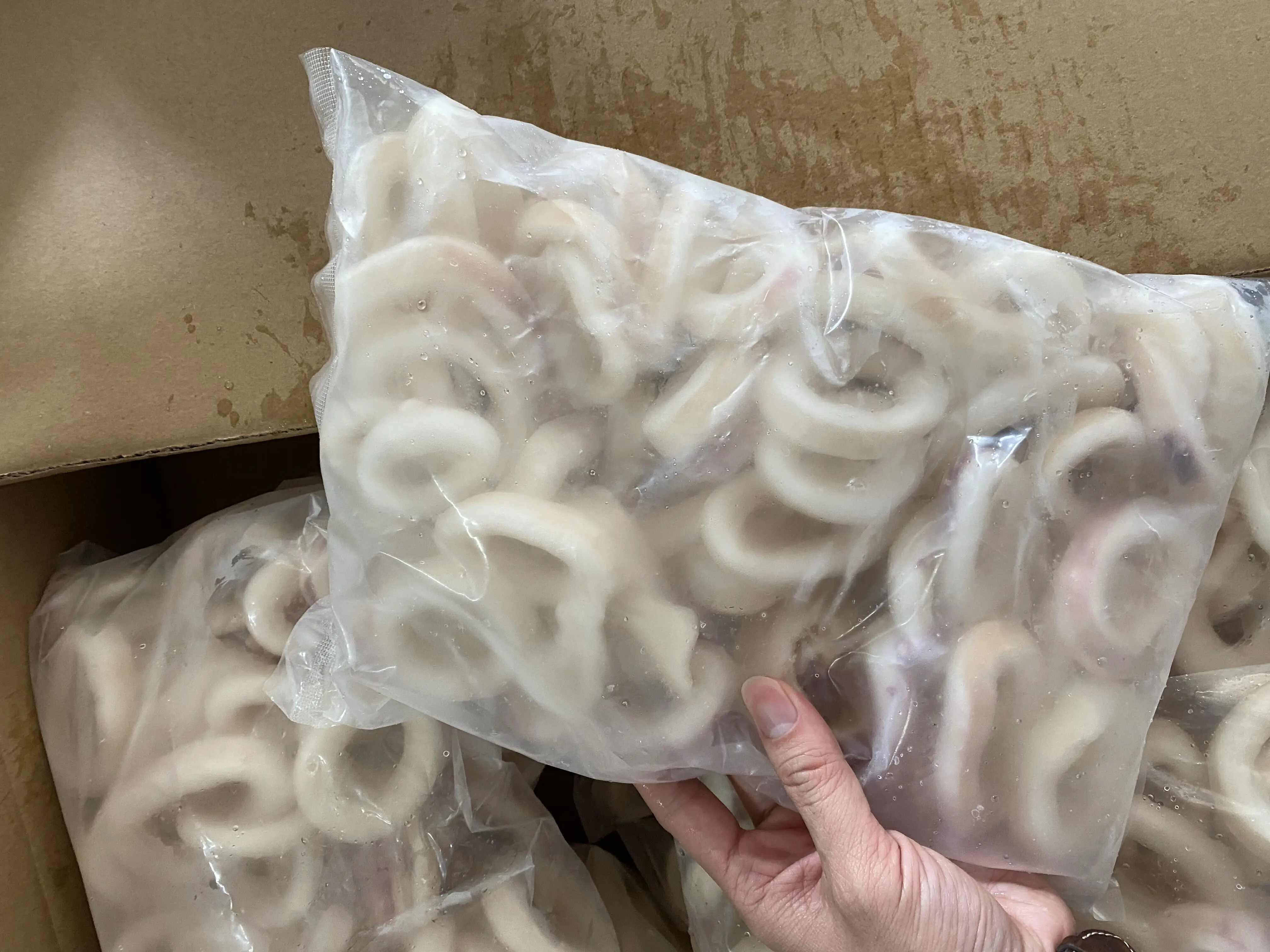 Frozen Squid Ring With Skin on Giant Peru Calamari Rings Crumb Todarodes Gigas IQF/BQF White