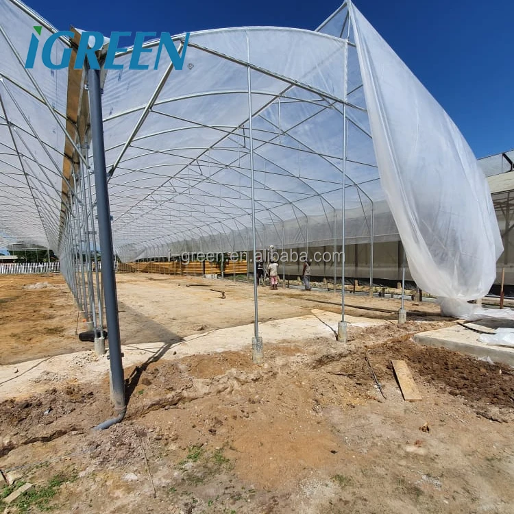 Agricultural vegetable multi-span greenhouses from China