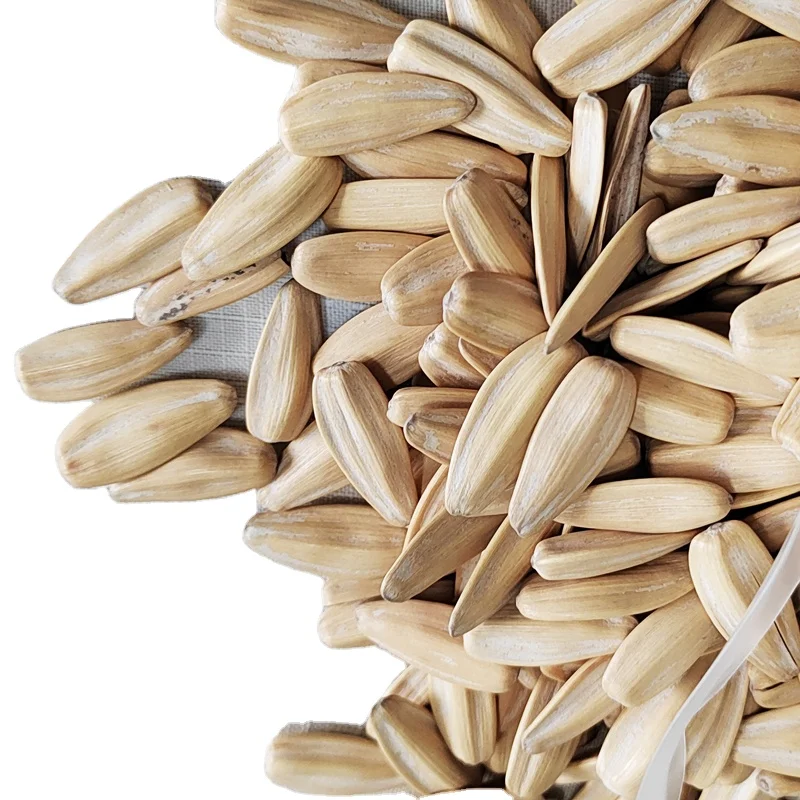 China Manufacture Wholesale Quality Roasted White Sunflower Seeds For Sale