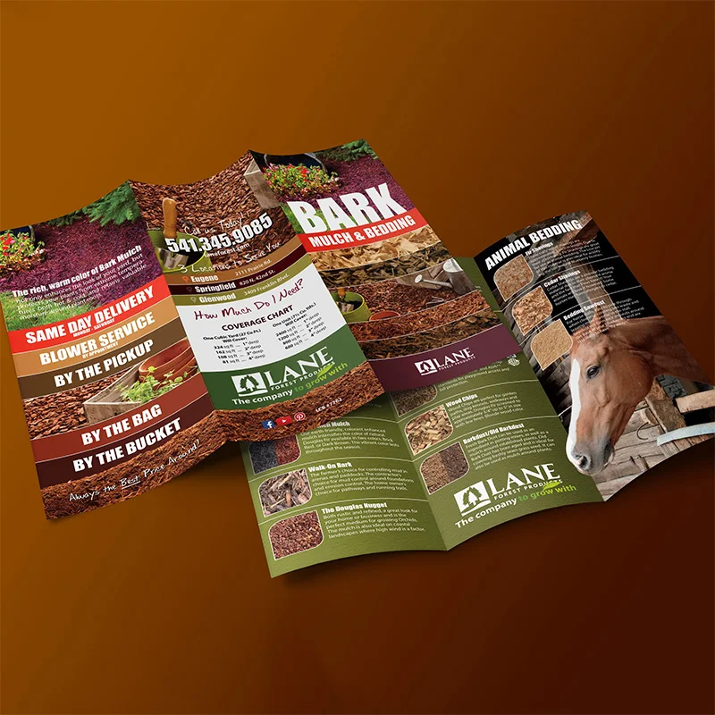 Factory Direct Sale Custom Paper Printed Instruction Folding Leaflet Brochure Manual