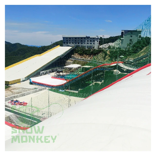 High quality SNOW MONKEY artificial ski surfacedry slope surface dry ski slope snow