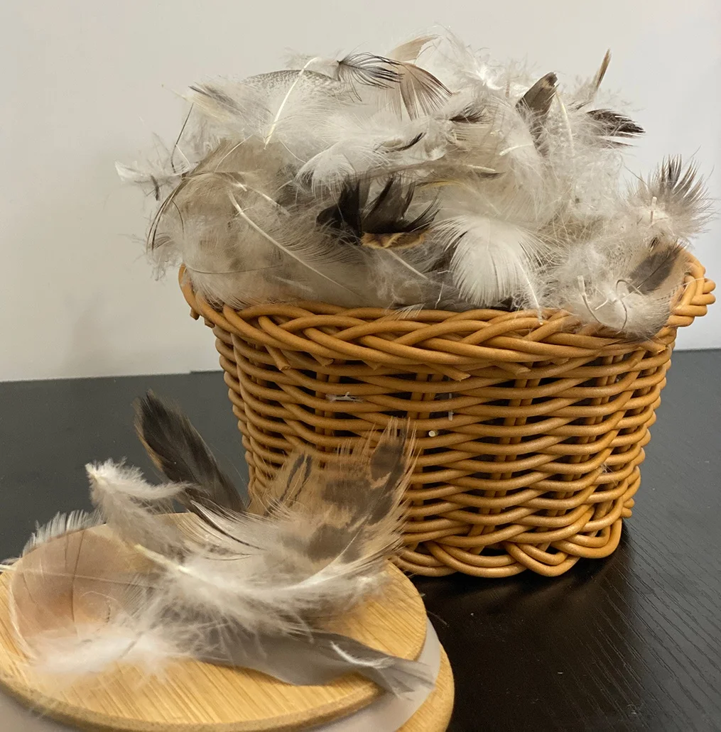 Clean, dust-free and odor-free 2-4cm washed 90% gray duck hair flakes sold wholesale