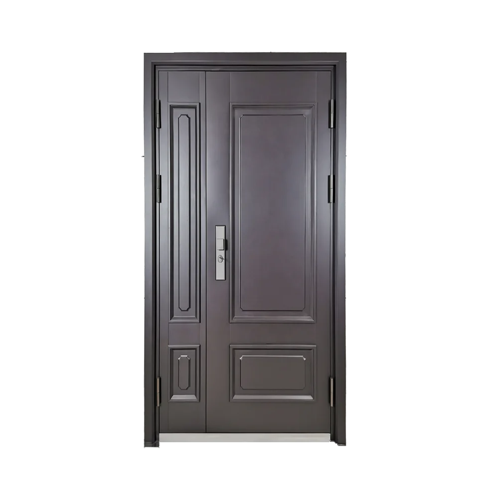 2025 House Exterior Front Entry Door Design Other Interior Aluminum Pivot Security Steel Doors for House with smart lock