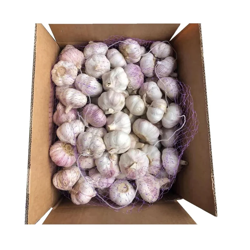 buy chinese bulk fresh export china garlic wholesale exporters turkey yemen box 10kg exporters for sale garlic