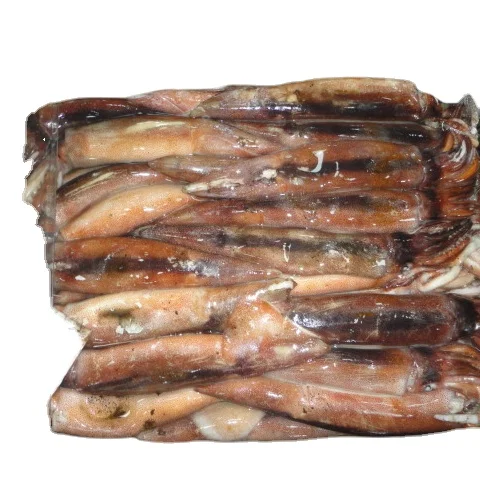 New Arrival High Quality Frozen Red Squid Loligo Bulk Style Packaging Color Feature Weight Shelf Origin Latin Type Life Variety