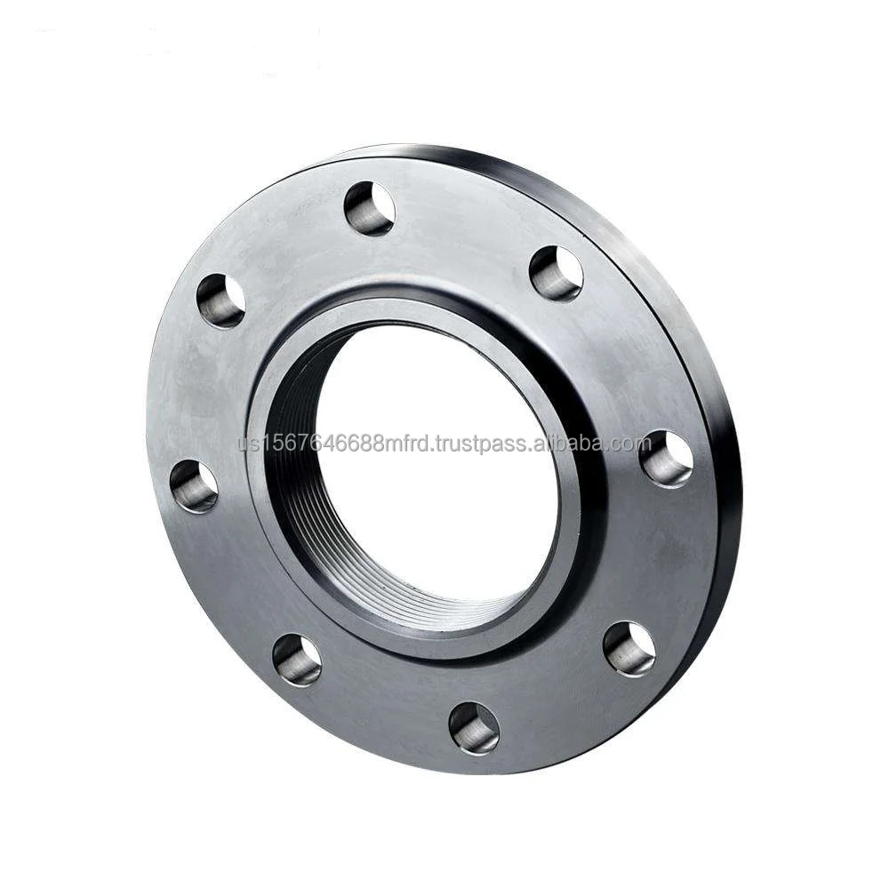 ANSI B16.5 SS 316Ti Flanges SS F316Ti Flange 316Ti Blind Flange Manufacturer Supplier in China