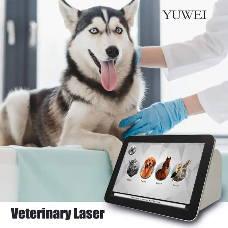 Hot Sales The Most Valuable New Generation 980Nm Wound Heating Pain Relief Pet Veterinary Laser Device Therapy