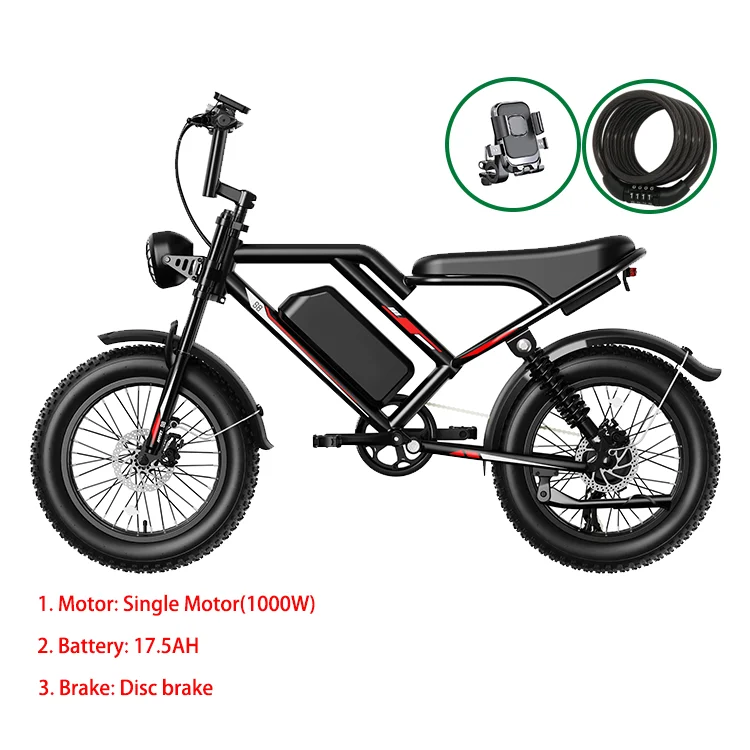 Long Range Electric Bicycle with Dual Single Rear Hub Motor 250W Popular Bike 2000W Bicycle Electric