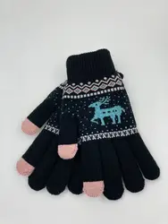 Standard Accept Custom Logo Eco-Friendly Direct Sales Factory Price winter glove women