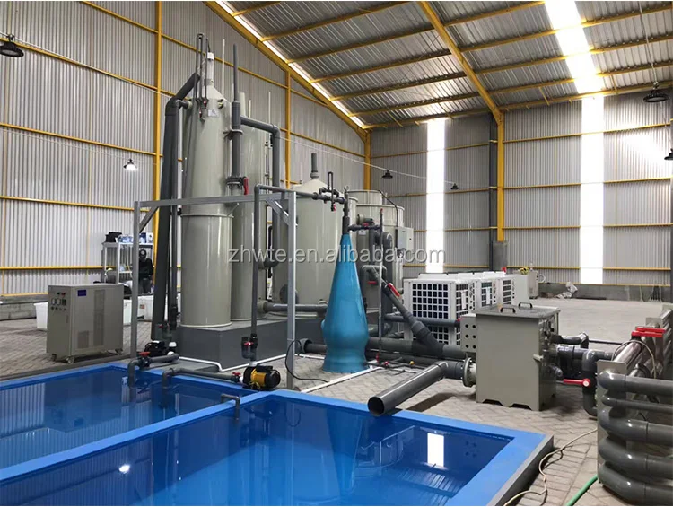 ZH-RAS-100 ras complete systems equipment set for tilapia
