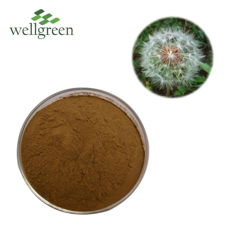 Dandelion Root Powder Plant Flowers Wholesale Dandelion Roots Herba Taraxaci P.E Dandelion Extract