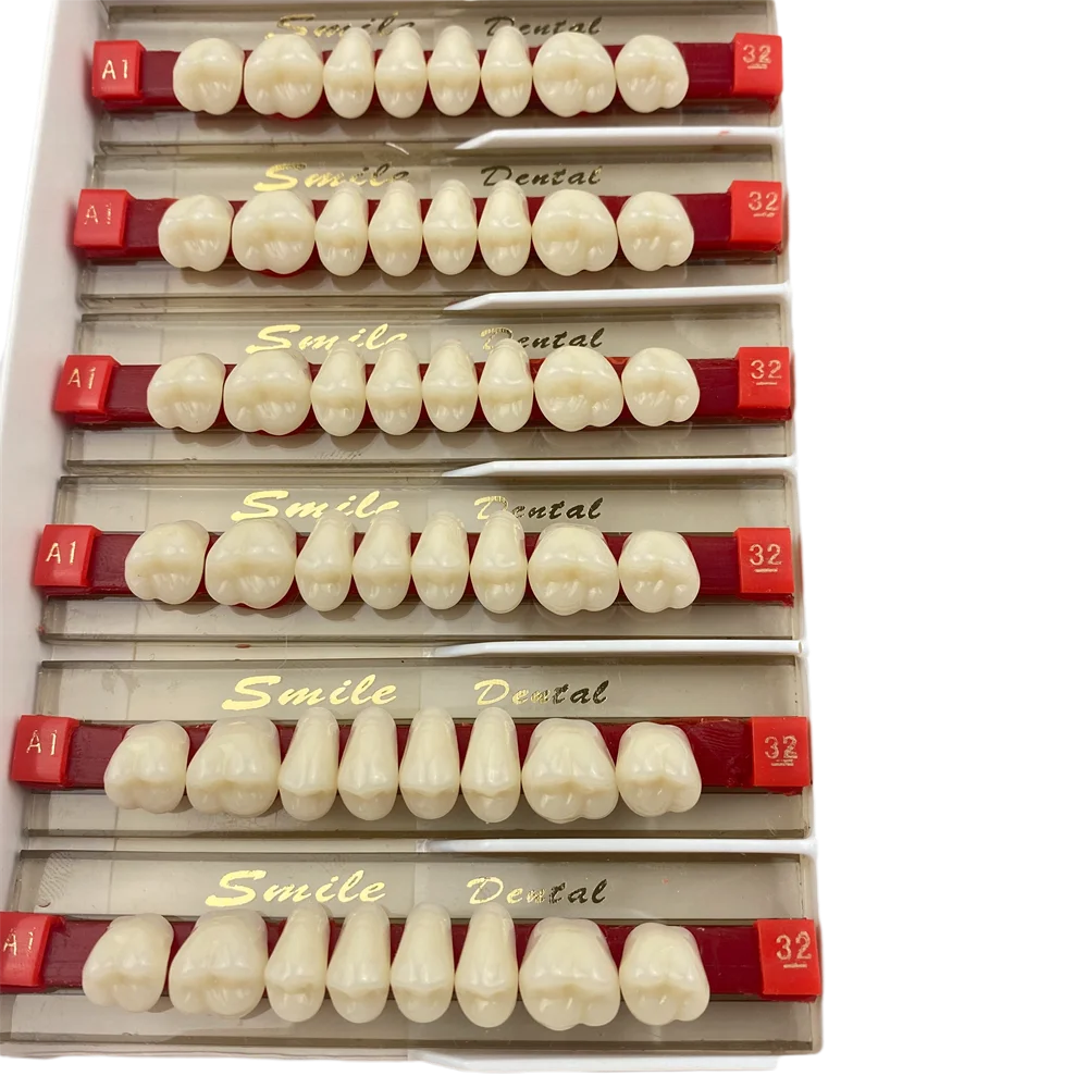 3-Layer Dentures Dental Posteriors Acrylic Resin Teeth Synthetic Teeth
