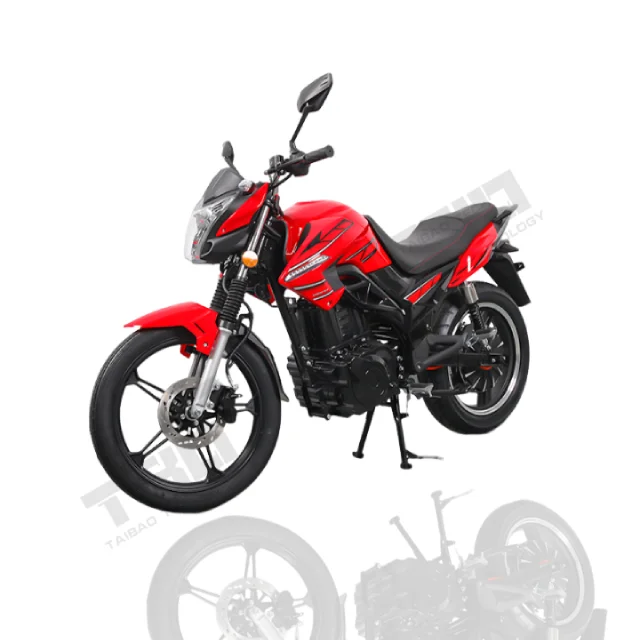 Good Reputation 2 Wheel 2 Seat Retro Electric Motorcycle  for Adult 3000w