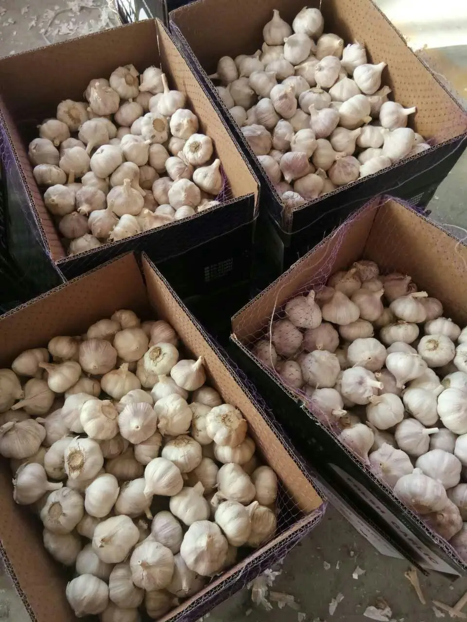 Wholesale New Crop Fresh Garlic Low Price of Pure White As Food Can Be Vegetables Seeds