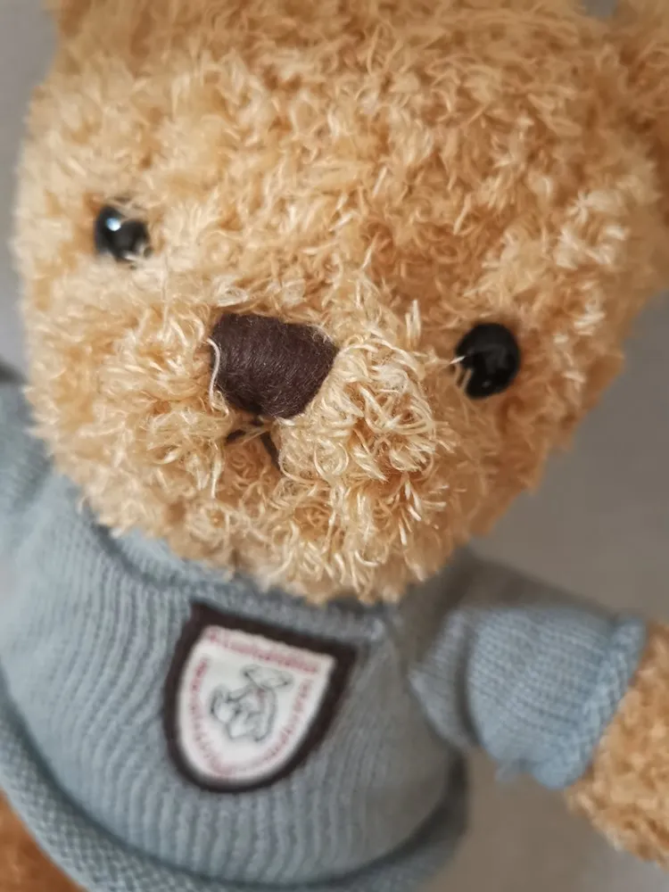 Low order Quantity brown and white kylin velvet teddy bear