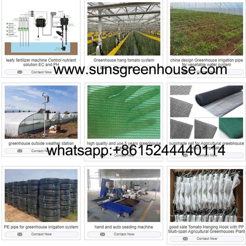 SUNSGH china Greenhouse factory green house price