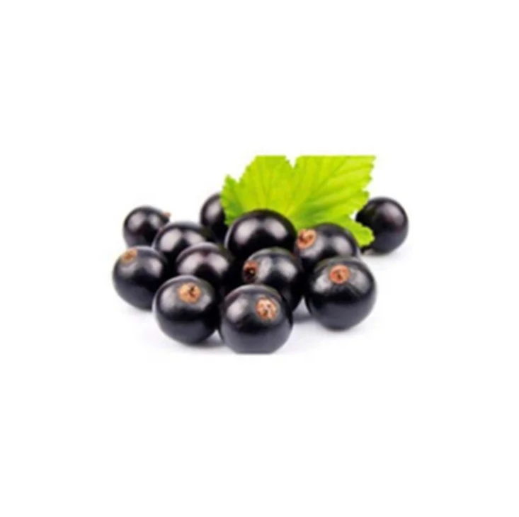 Wholesale Maqui Fruit Powder Organic 98% Maqui Berry Extract Powder