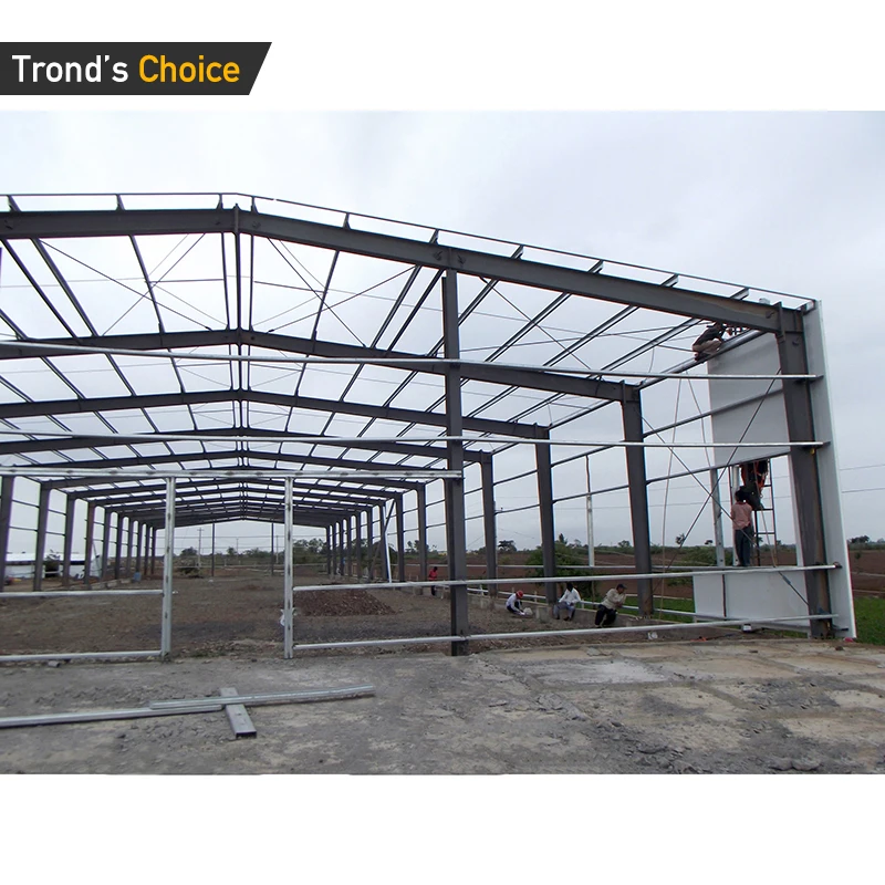 Steel Structure Shed Warehouse Steel Structure Low Cost Design