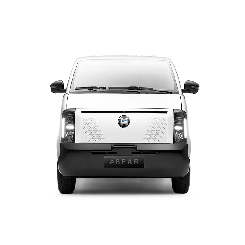 Made in China hatchback New Electric Car Van Long Max Vehicle Speed 100km/h Big Space 312km 4 Doors 2 Seats EV for sale