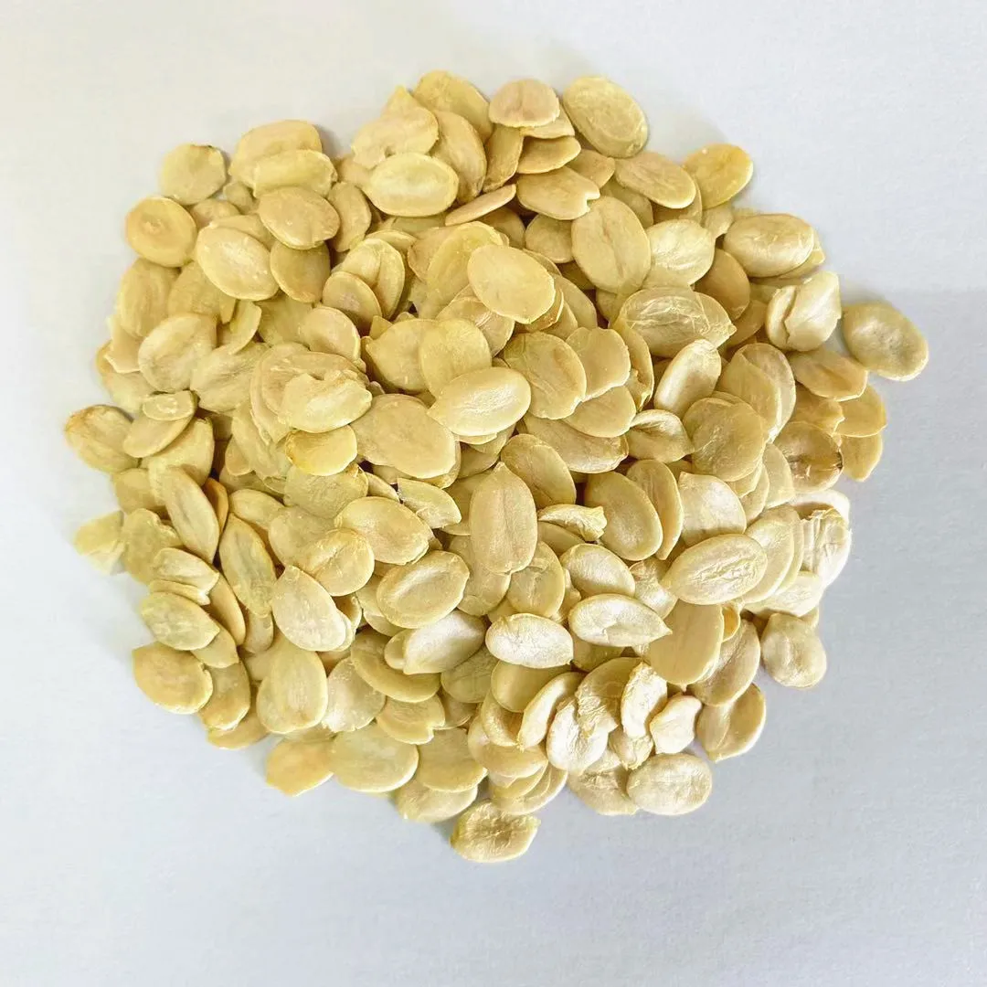 New Crop China Origin  Big Size Watermelon Seeds Kernel Price