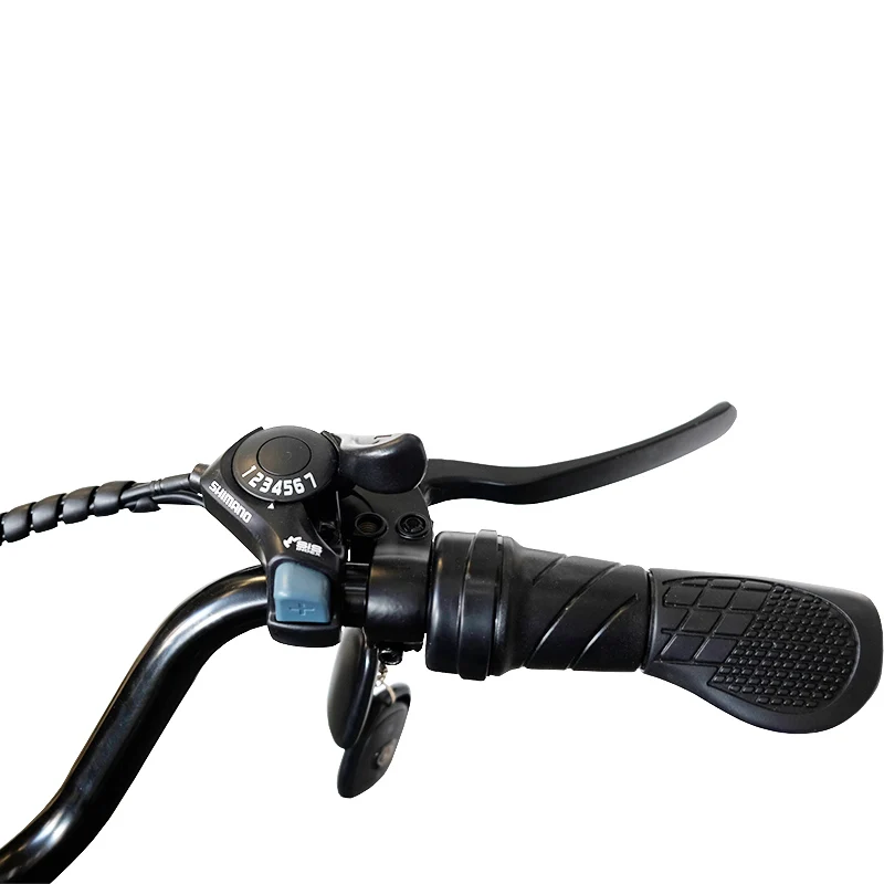 Factory Price High Speed Trike Fat Tire Motorcycle Bike Adults 500w Electric Tricycles 3 Wheel Electric Bicycle 48V Red 1000w