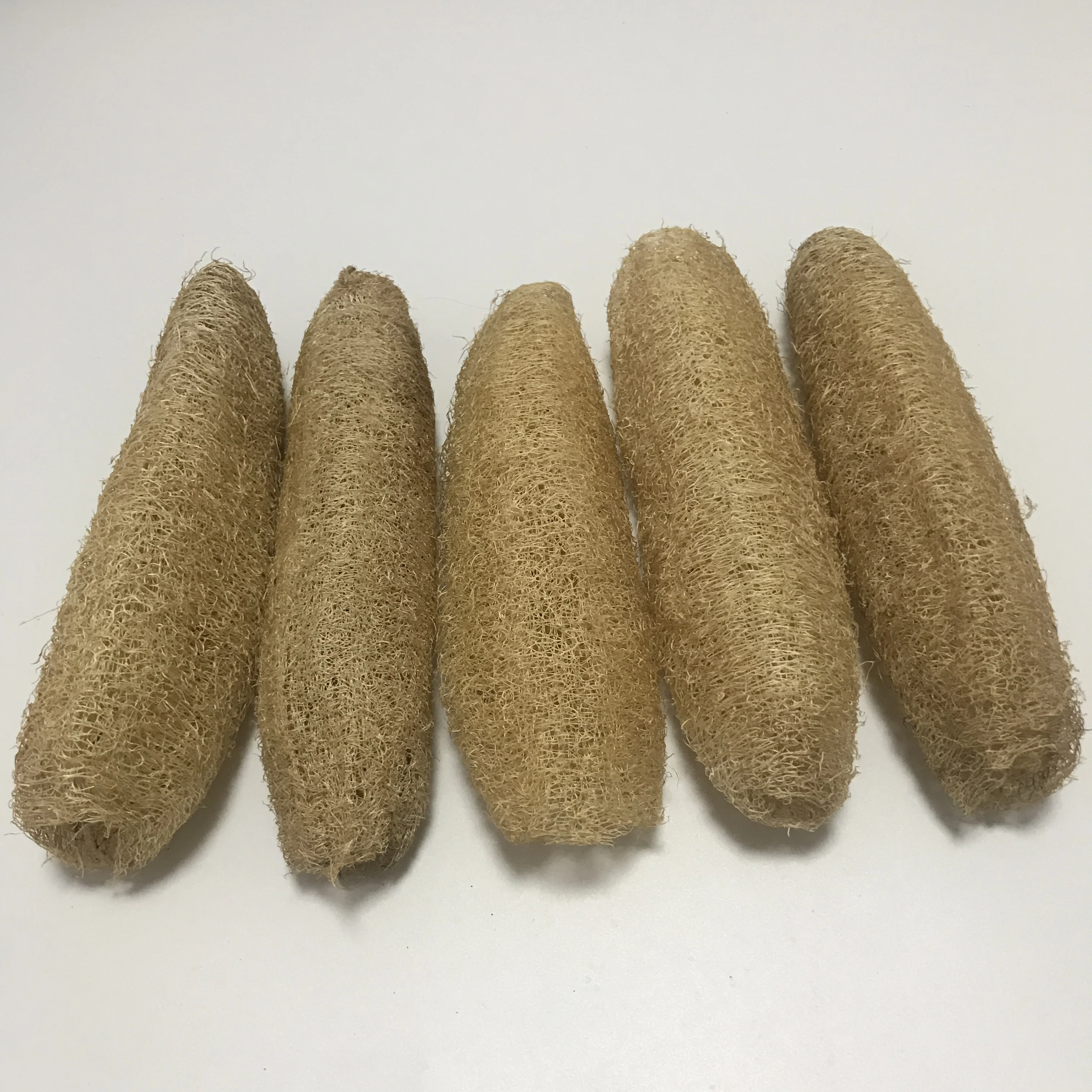 
CK005 Si gua luo Natural 20~25cm The whole loofah 