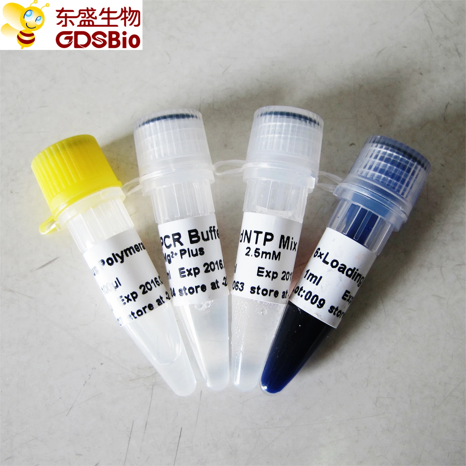 Taq Plus DNA Polymerase for GC-rich pcr P1031-P1032-P1033-P1034
