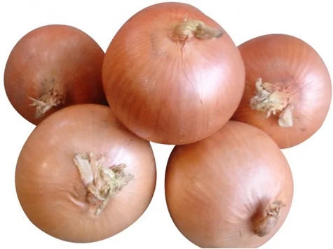 2022 new crop Best Fresh Onion with good price yellow onions and red onion fresh for export