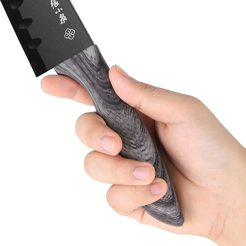 High Carbon Stainless Steel Japanese Knife Sushi Cutting Gyuto Knife