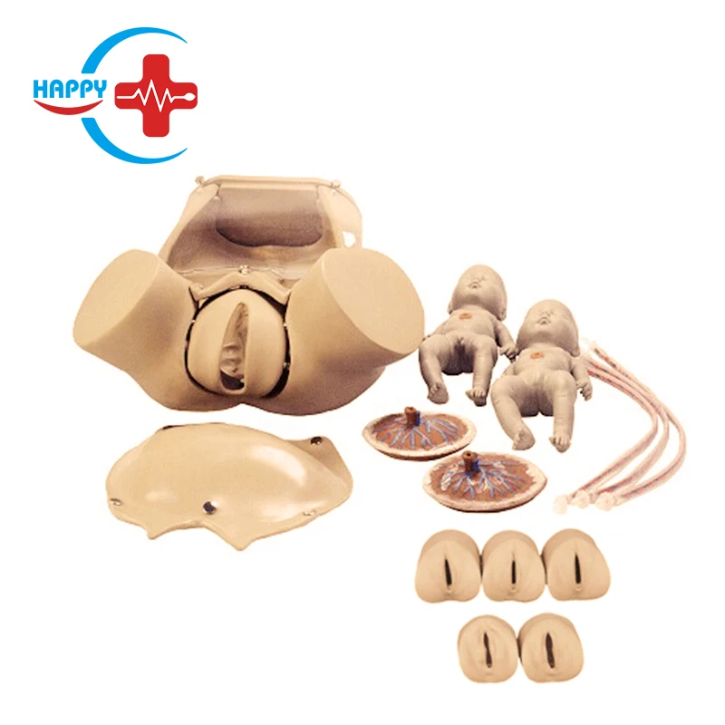 HC-S302 High Quality Medical Pregnancy model/Childbirth Simulator/Nursing training gynecology model