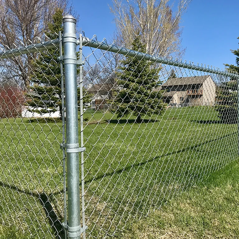 chain link fence (1).png