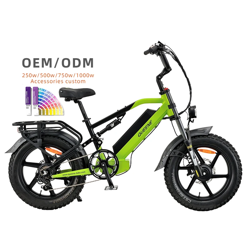OEM Long Range Lithium Battery 7 Speed 48V 2 Seat City Step Through Fat Tire Ebike 1500w Electric Bike